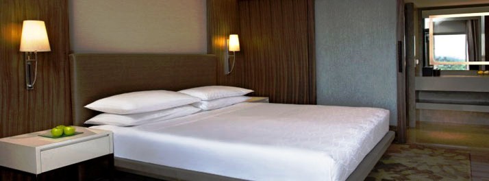 248/Hyatt Regency - New Delhi 09.jpg